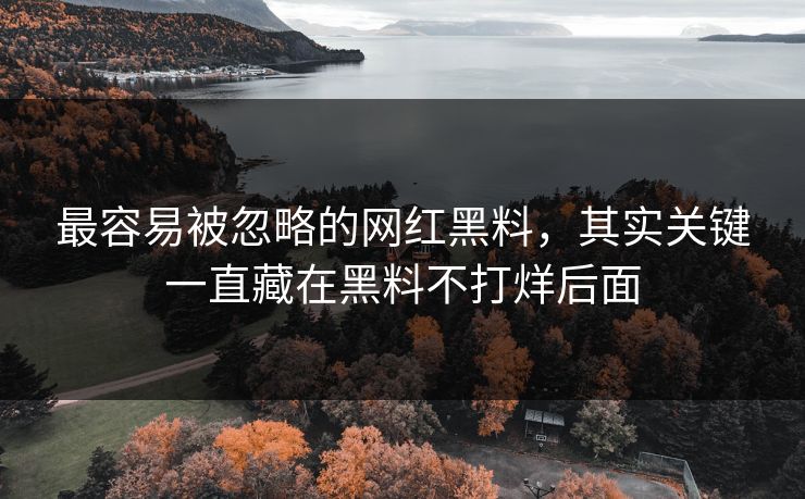最容易被忽略的网红黑料，其实关键一直藏在黑料不打烊后面