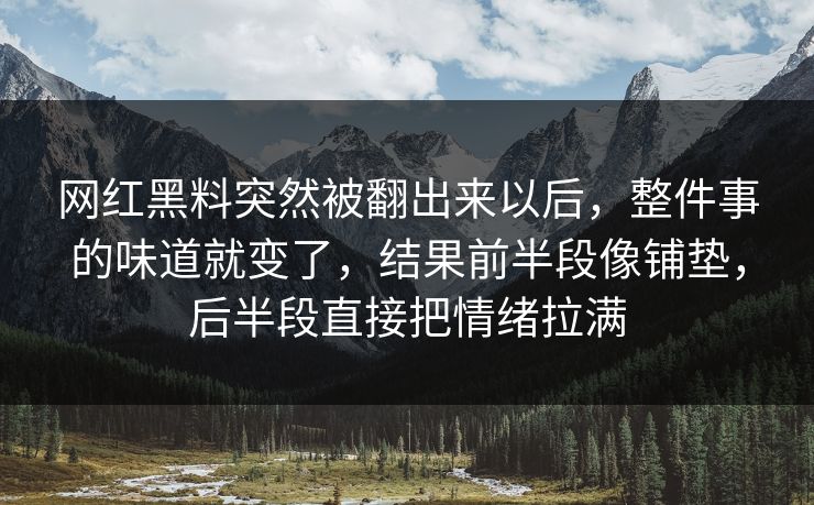 网红黑料突然被翻出来以后,整件事的味道就变了,结果前半段像铺垫,后半段直接把情绪拉满 网红黑料突然被翻出来以后,整件事的味道就变了,结果前半段像铺垫,后半段直接把情绪拉满