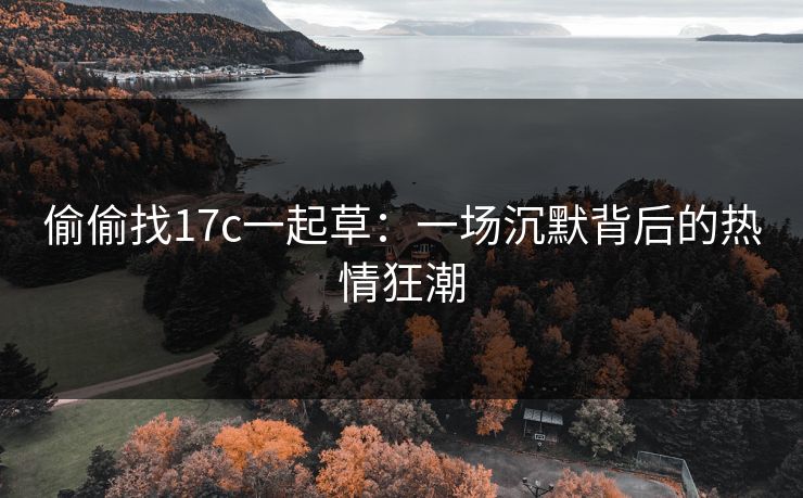 偷偷找<strong>17C</strong>一起草：一场沉默背后的热情狂潮