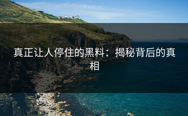 真正让人停住的黑料：揭秘背后的真相